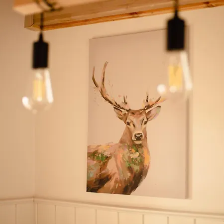 Riw Male Swory - Plywajacy Houseboat I Drewniane *