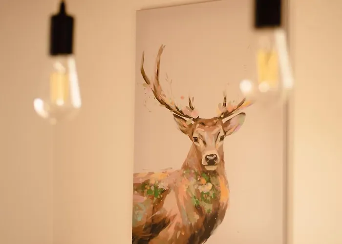 Riw Male Swory - Plywajacy Houseboat I Drewniane *